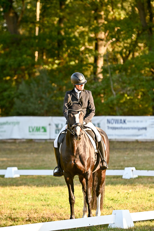  | 28092025 Dressur Intro _076 