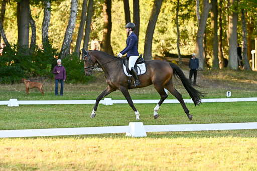  | 28092025 Dressur Intro _077 
