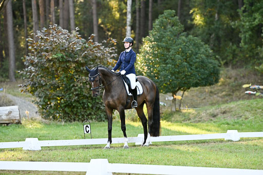  | 28092025 Dressur Intro _078 