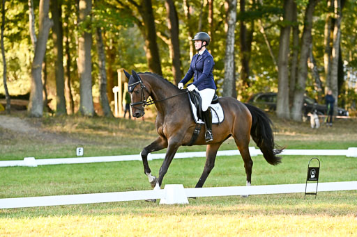  | 28092025 Dressur Intro _079 