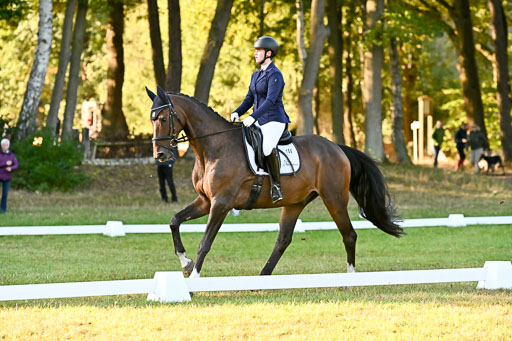  | 28092025 Dressur Intro _080 