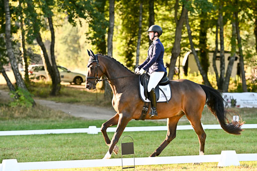  | 28092025 Dressur Intro _081 