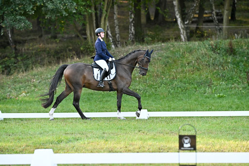  | 28092025 Dressur Intro _082 