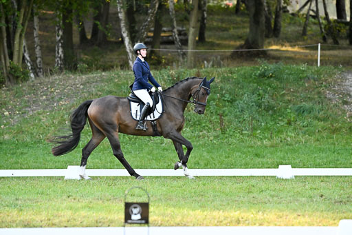  | 28092025 Dressur Intro _083 