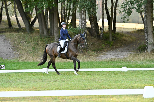  | 28092025 Dressur Intro _084 