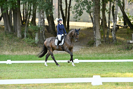  | 28092025 Dressur Intro _085 