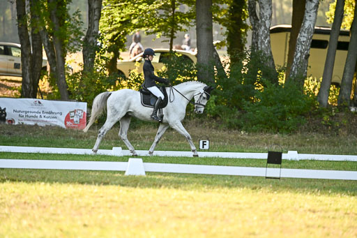  | 28092025 Dressur Intro _087 