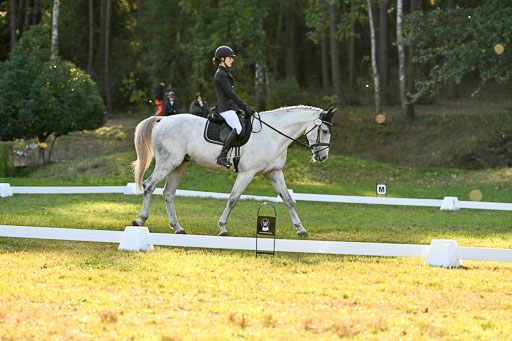  | 28092025 Dressur Intro _089 