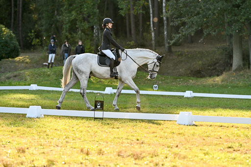  | 28092025 Dressur Intro _090 