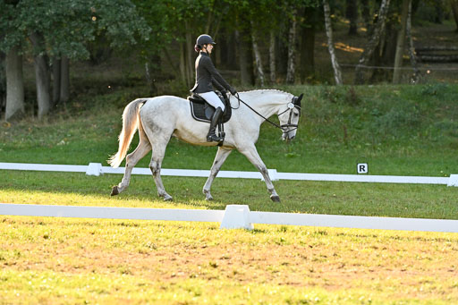  | 28092025 Dressur Intro _091 