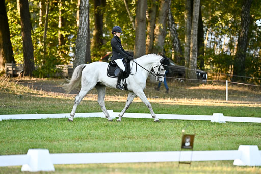  | 28092025 Dressur Intro _092 