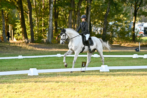  | 28092025 Dressur Intro _093 