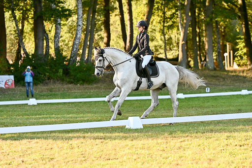  | 28092025 Dressur Intro _094 
