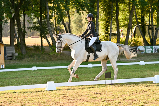  | 28092025 Dressur Intro _095 