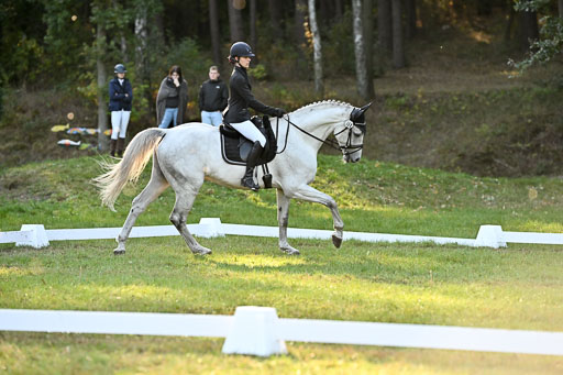  | 28092025 Dressur Intro _096 