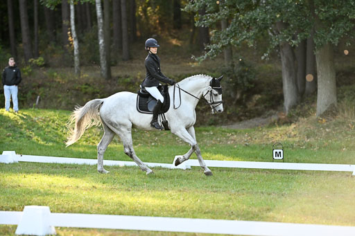  | 28092025 Dressur Intro _097 