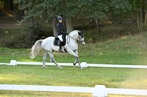  | 28092025 Dressur Intro _098 