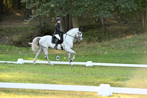  | 28092025 Dressur Intro _099 