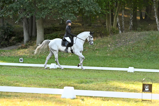  | 28092025 Dressur Intro _100 