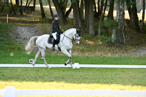  | 28092025 Dressur Intro _101 