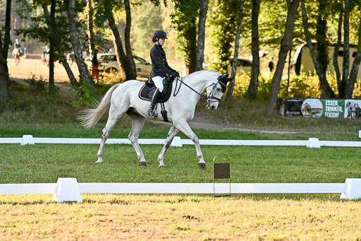  | 28092025 Dressur Intro _102 
