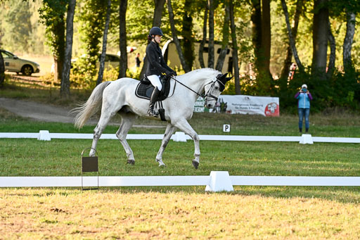  | 28092025 Dressur Intro _103 