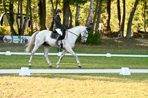  | 28092025 Dressur Intro _104 