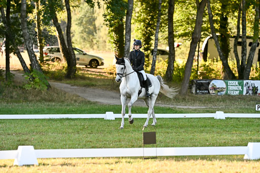  | 28092025 Dressur Intro _105 