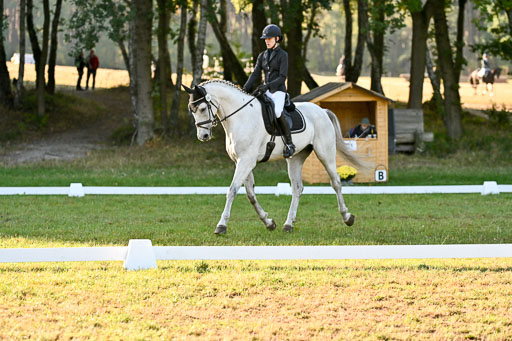  | 28092025 Dressur Intro _106 