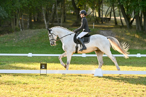  | 28092025 Dressur Intro _107 