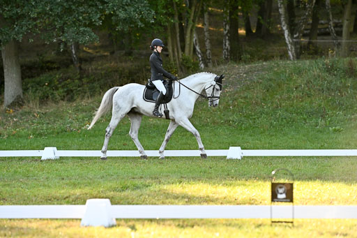  | 28092025 Dressur Intro _108 