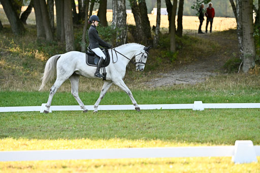  | 28092025 Dressur Intro _109 