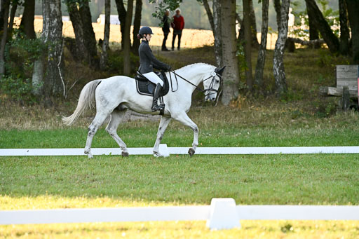  | 28092025 Dressur Intro _110 