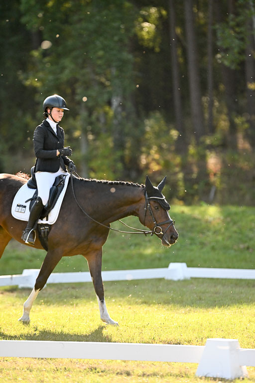  | 28092025 Dressur Intro _111 