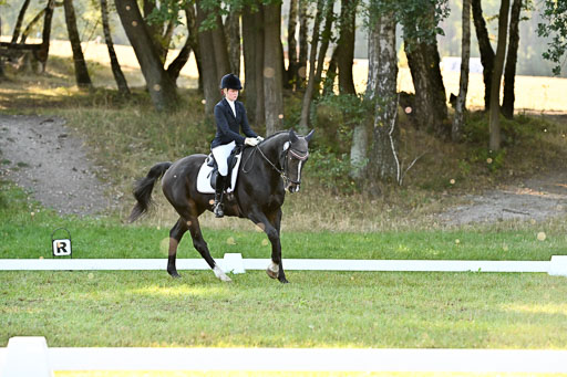  | 28092025 Dressur Intro _112 