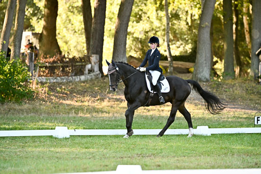  | 28092025 Dressur Intro _113 