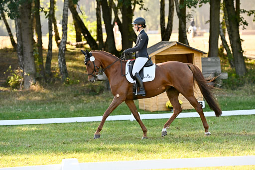  | 28092025 Dressur Intro _114 