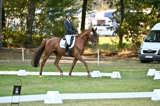  | 28092025 Dressur Intro _115 