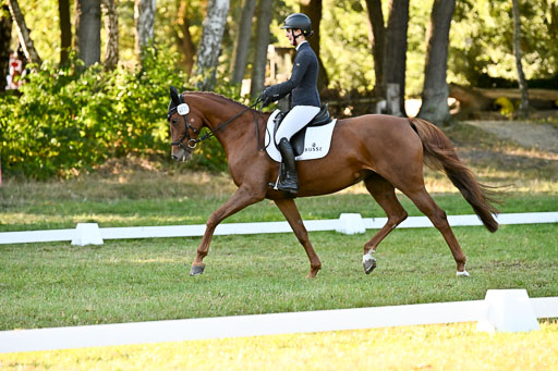  | 28092025 Dressur Intro _116 