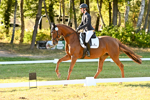  | 28092025 Dressur Intro _117 