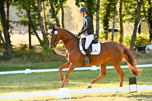  | 28092025 Dressur Intro _118 