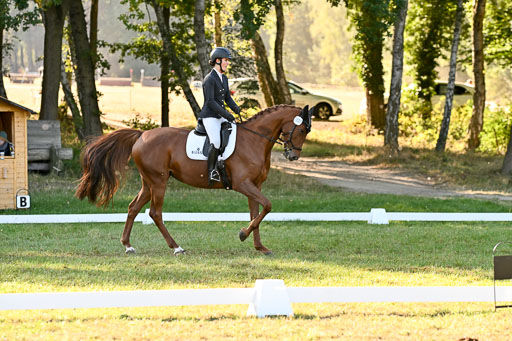  | 28092025 Dressur Intro _119 