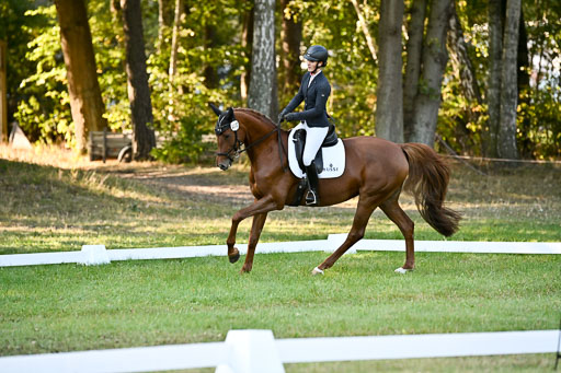  | 28092025 Dressur Intro _120 