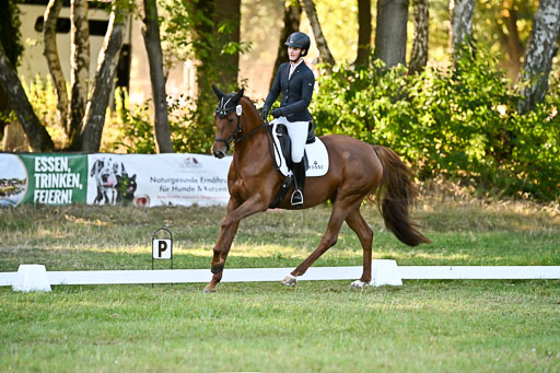  | 28092025 Dressur Intro _121 