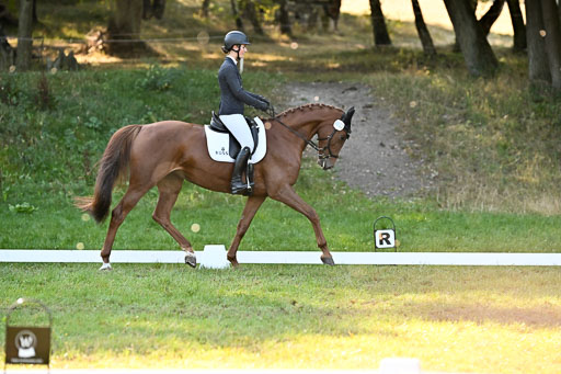  | 28092025 Dressur Intro _122 