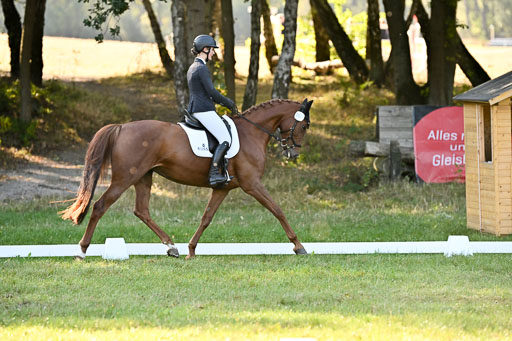  | 28092025 Dressur Intro _123 