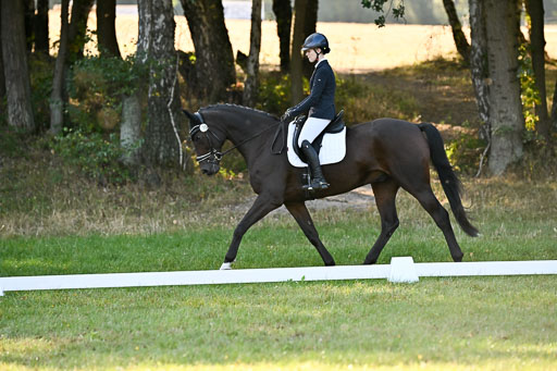  | 28092025 Dressur Intro _124 