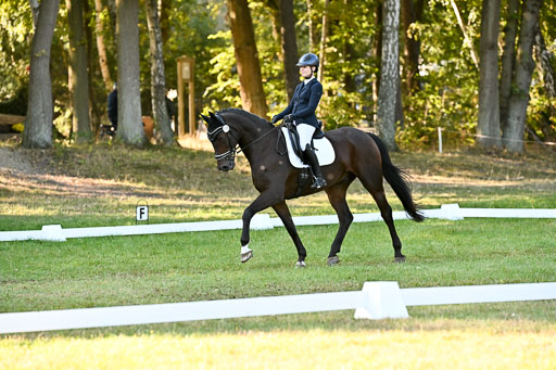  | 28092025 Dressur Intro _125 