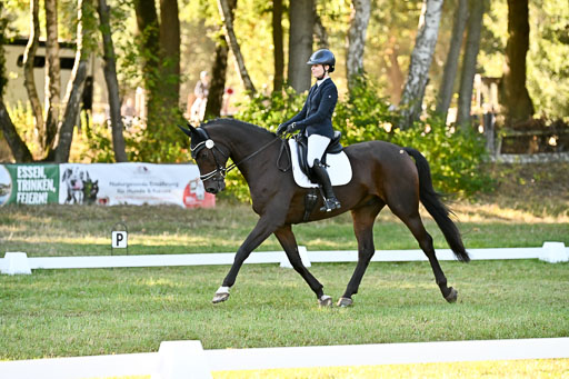  | 28092025 Dressur Intro _126 