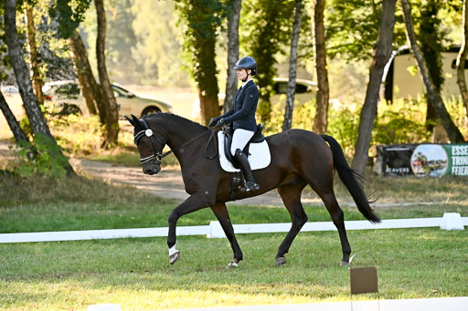  | 28092025 Dressur Intro _127 